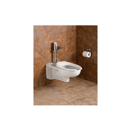 Distribution Point American Standard Afwall 3351101.020 Universal Bowl Only, 1.1/1.6 GPF 3351101.02